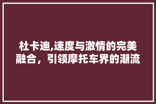 杜卡迪,速度与激情的完美融合，引领摩托车界的潮流风向标 新款车型