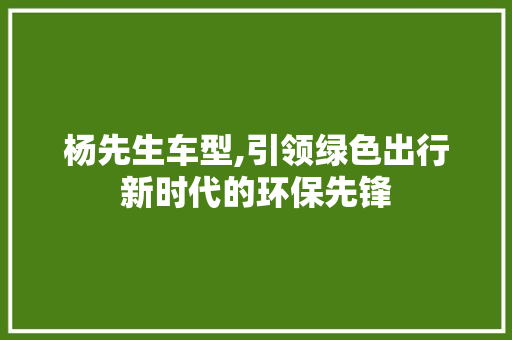 杨先生车型,引领绿色出行新时代的环保先锋