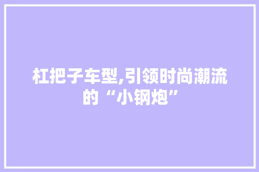 杠把子车型,引领时尚潮流的“小钢炮”