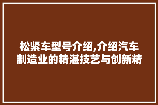 松紧车型号介绍,介绍汽车制造业的精湛技艺与创新精神