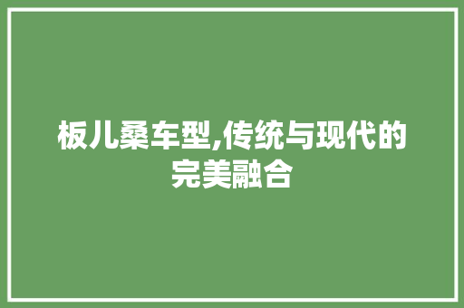 板儿桑车型,传统与现代的完美融合