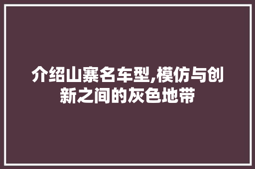 介绍山寨名车型,模仿与创新之间的灰色地带