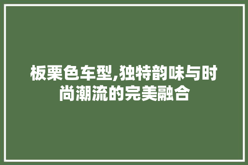 板栗色车型,独特韵味与时尚潮流的完美融合