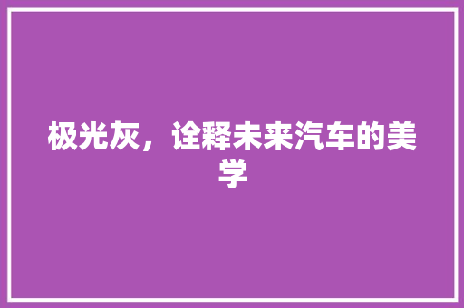 极光灰，诠释未来汽车的美学