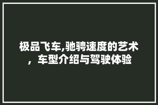 极品飞车,驰骋速度的艺术，车型介绍与驾驶体验