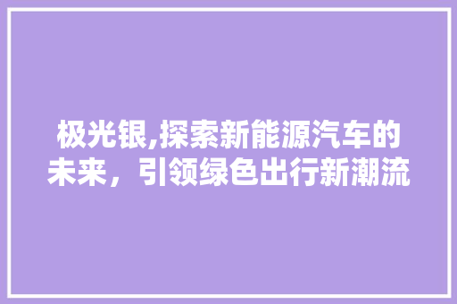极光银,探索新能源汽车的未来，引领绿色出行新潮流