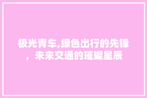 极光青车,绿色出行的先锋，未来交通的璀璨星辰