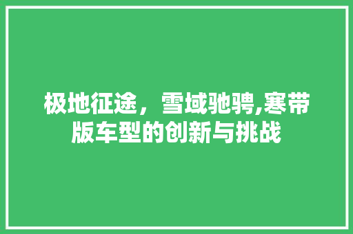 极地征途，雪域驰骋,寒带版车型的创新与挑战