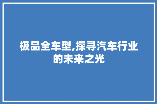 极品全车型,探寻汽车行业的未来之光