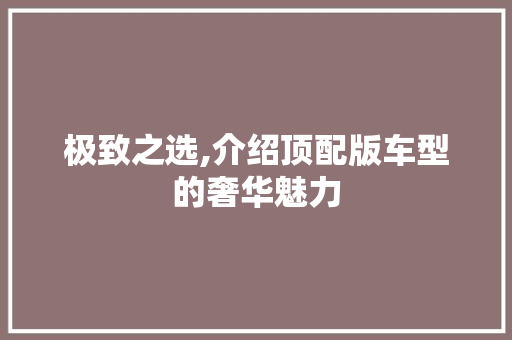 极致之选,介绍顶配版车型的奢华魅力