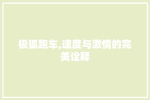 极狐跑车,速度与激情的完美诠释 车灯配件