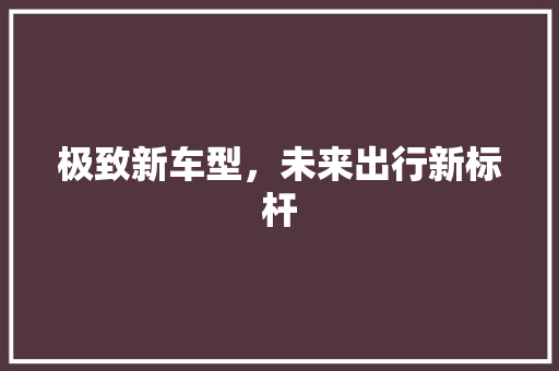 极致新车型，未来出行新标杆