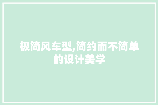 极简风车型,简约而不简单的设计美学