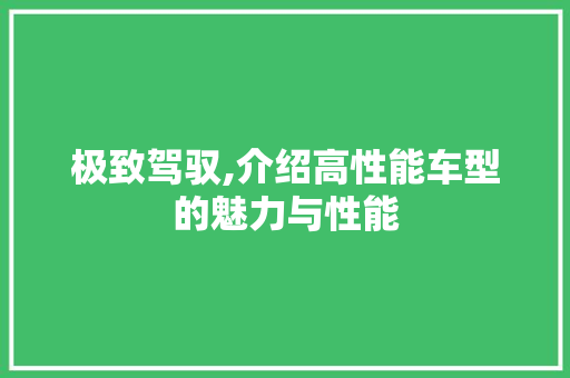 极致驾驭,介绍高性能车型的魅力与性能