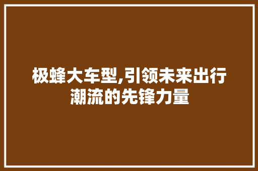 极蜂大车型,引领未来出行潮流的先锋力量