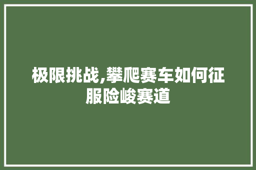 极限挑战,攀爬赛车如何征服险峻赛道