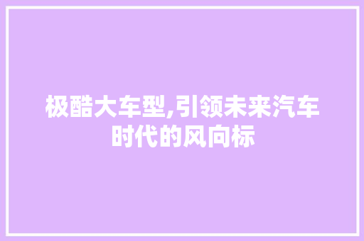 极酷大车型,引领未来汽车时代的风向标