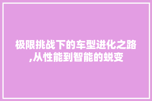极限挑战下的车型进化之路,从性能到智能的蜕变