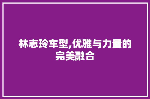 林志玲车型,优雅与力量的完美融合