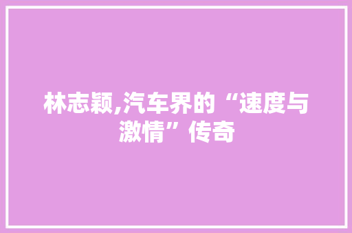林志颖,汽车界的“速度与激情”传奇