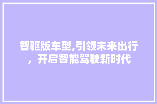 智驱版车型,引领未来出行，开启智能驾驶新时代