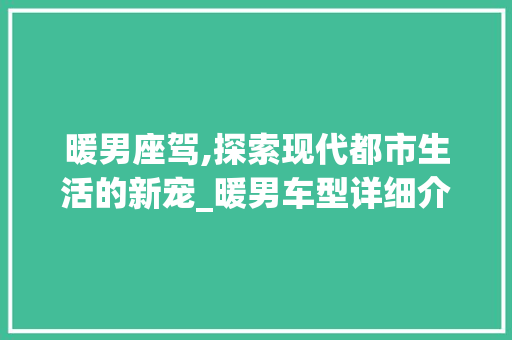 暖男座驾,探索现代都市生活的新宠_暖男车型详细介绍