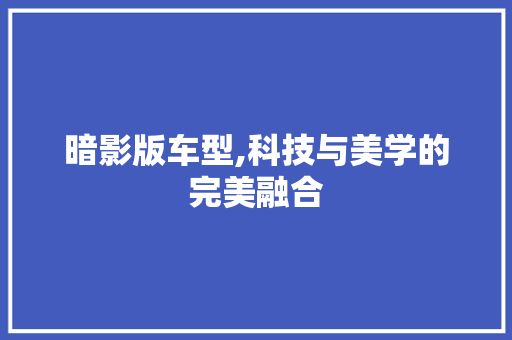 暗影版车型,科技与美学的完美融合