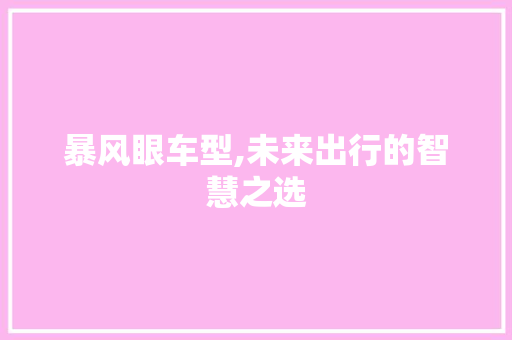 暴风眼车型,未来出行的智慧之选