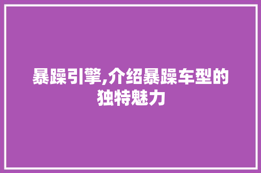 暴躁引擎,介绍暴躁车型的独特魅力