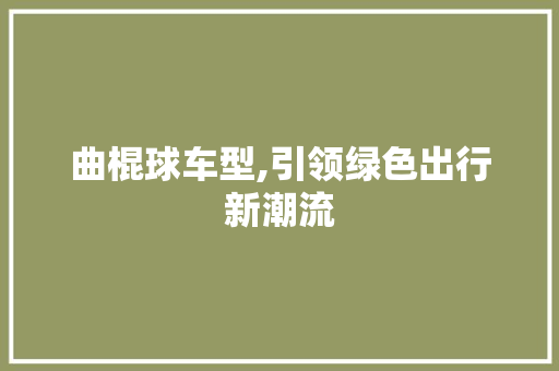 曲棍球车型,引领绿色出行新潮流