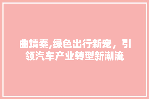 曲靖秦,绿色出行新宠，引领汽车产业转型新潮流