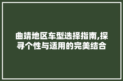 曲靖地区车型选择指南,探寻个性与适用的完美结合