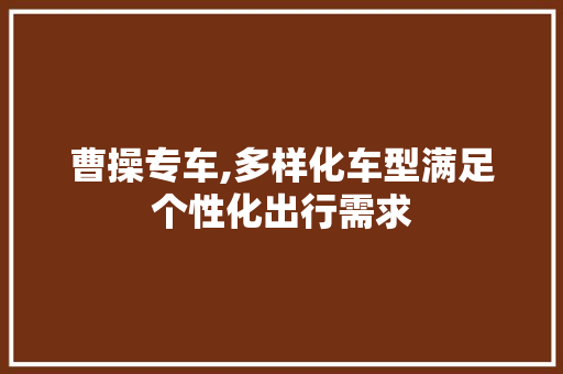 曹操专车,多样化车型满足个性化出行需求