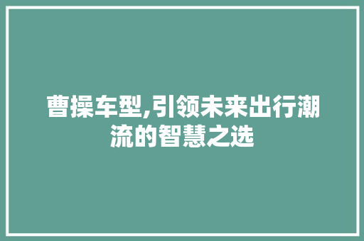 曹操车型,引领未来出行潮流的智慧之选