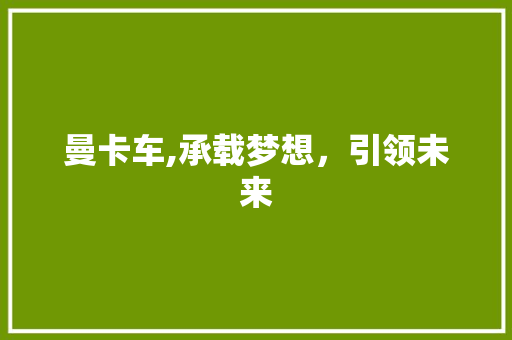 曼卡车,承载梦想，引领未来