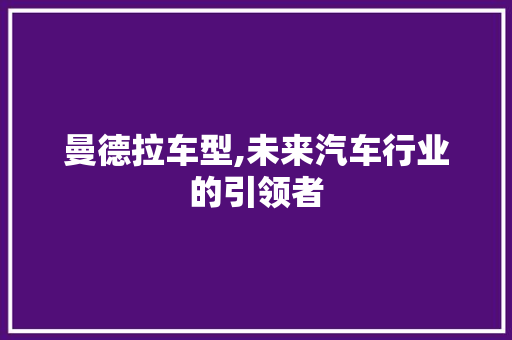 曼德拉车型,未来汽车行业的引领者