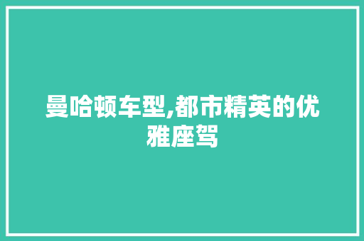 曼哈顿车型,都市精英的优雅座驾