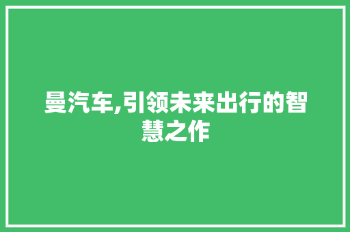 曼汽车,引领未来出行的智慧之作