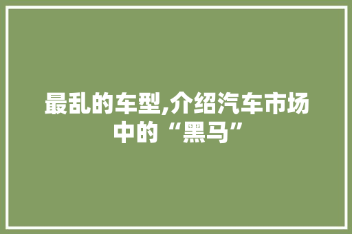 最乱的车型,介绍汽车市场中的“黑马”