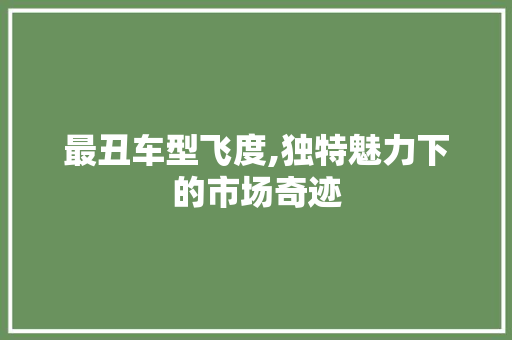 最丑车型飞度,独特魅力下的市场奇迹