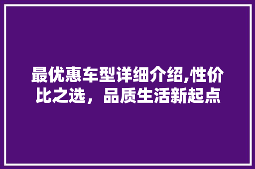 最优惠车型详细介绍,性价比之选，品质生活新起点