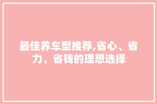最佳养车型推荐,省心、省力、省钱的理想选择