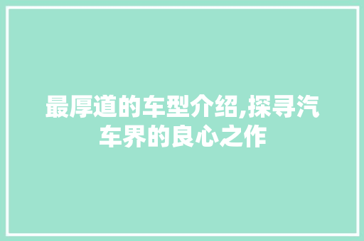 最厚道的车型介绍,探寻汽车界的良心之作