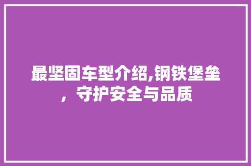 最坚固车型介绍,钢铁堡垒，守护安全与品质