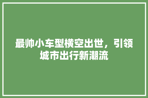 最帅小车型横空出世，引领城市出行新潮流