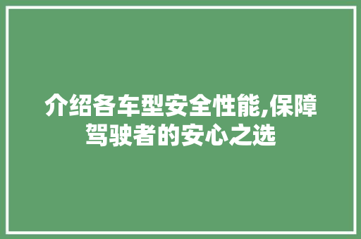 介绍各车型安全性能,保障驾驶者的安心之选
