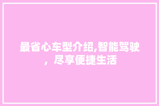 最省心车型介绍,智能驾驶，尽享便捷生活