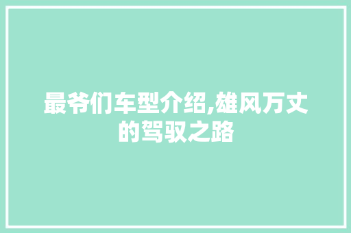 最爷们车型介绍,雄风万丈的驾驭之路