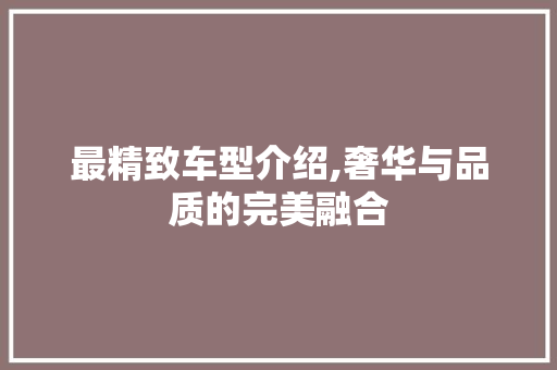 最精致车型介绍,奢华与品质的完美融合