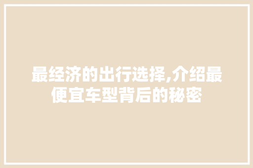 最经济的出行选择,介绍最便宜车型背后的秘密